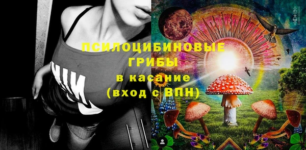 PSILOCYBIN Алексеевка